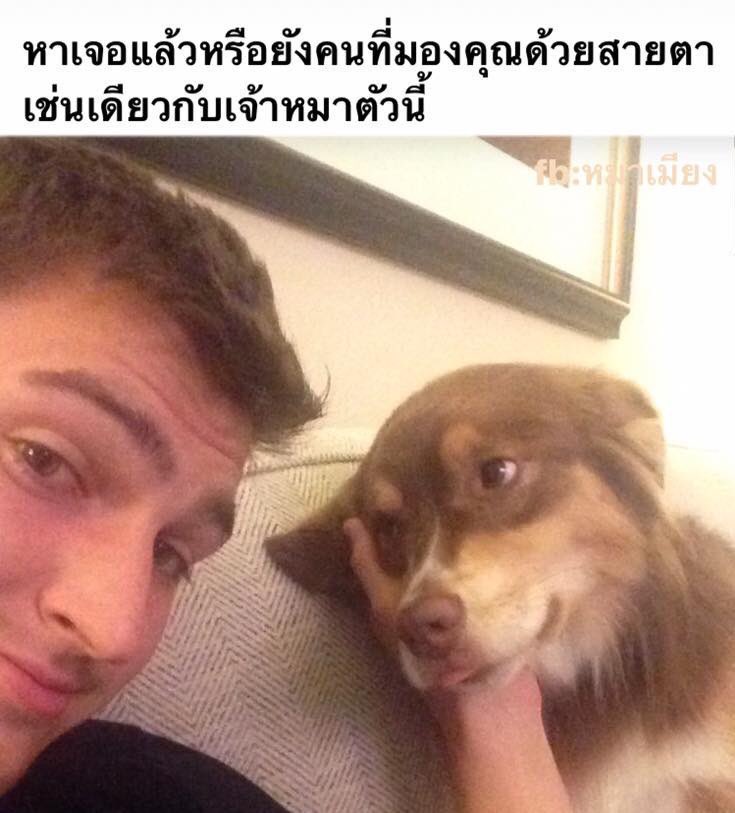 jinworld_bt's tweet photo. เห้ยมึงกุว่าใช่.........

#jinv https://t.co/TzTa5zL8cp