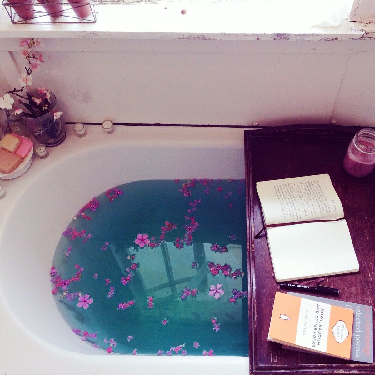 bellalunaestela's tweet photo. home energy for each zodiac sign ~ pisces ☔️ https://t.co/P18DOdIjWc