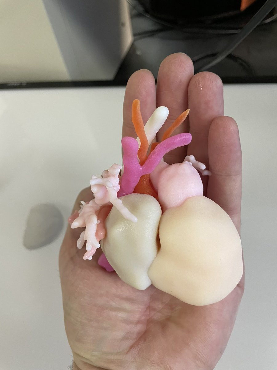 Jonathan Stone, MD tweet media