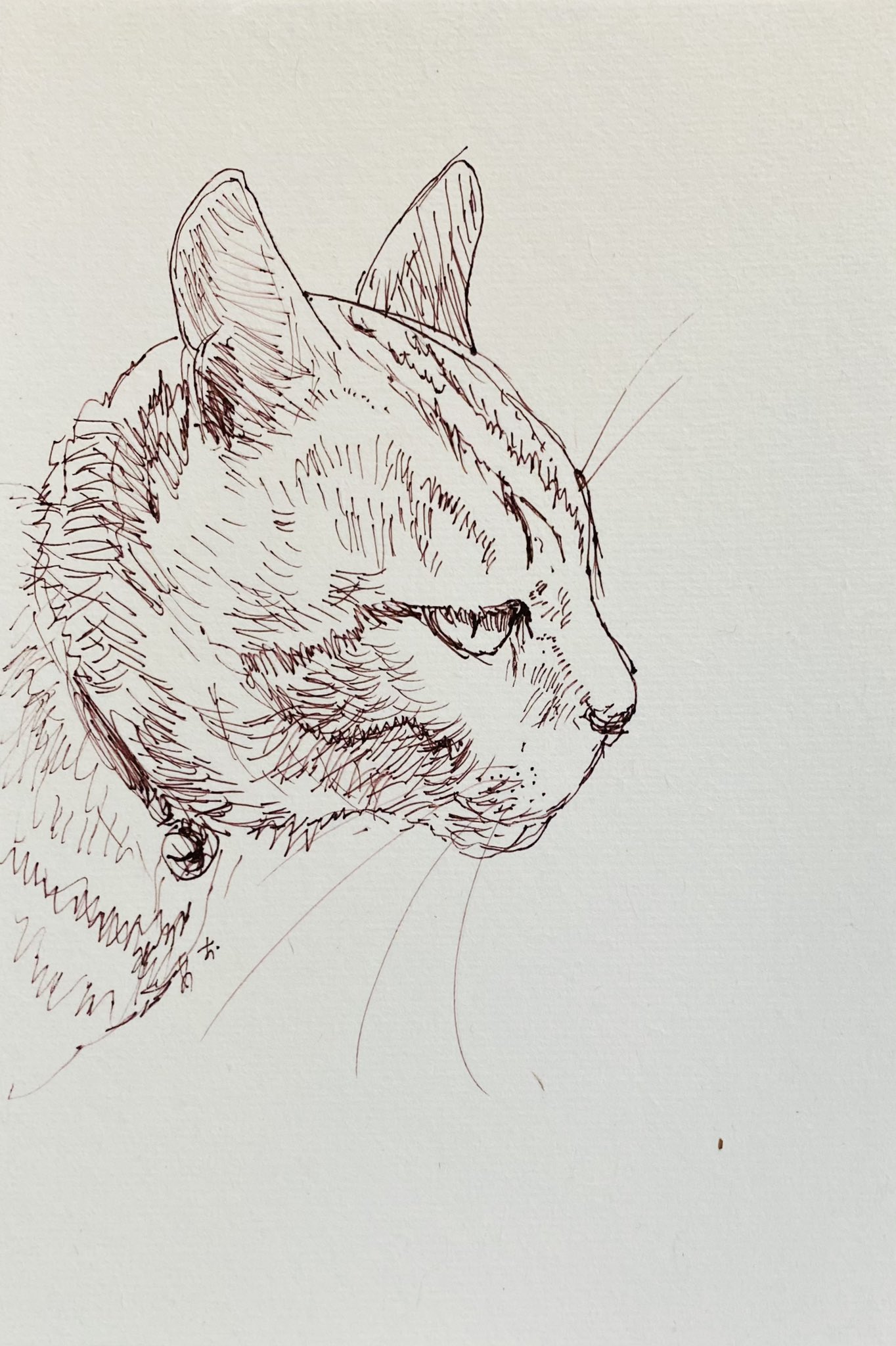 あおニャーマン 渋めに 猫イラスト 猫 イラスト ねこ ネコ ペン画 なまねこ 猫の国 絵本 ねぎ 猫作家 作家 イラストレーター 画家 絵描き 動物画 T Co 1lovvsybcx Twitter