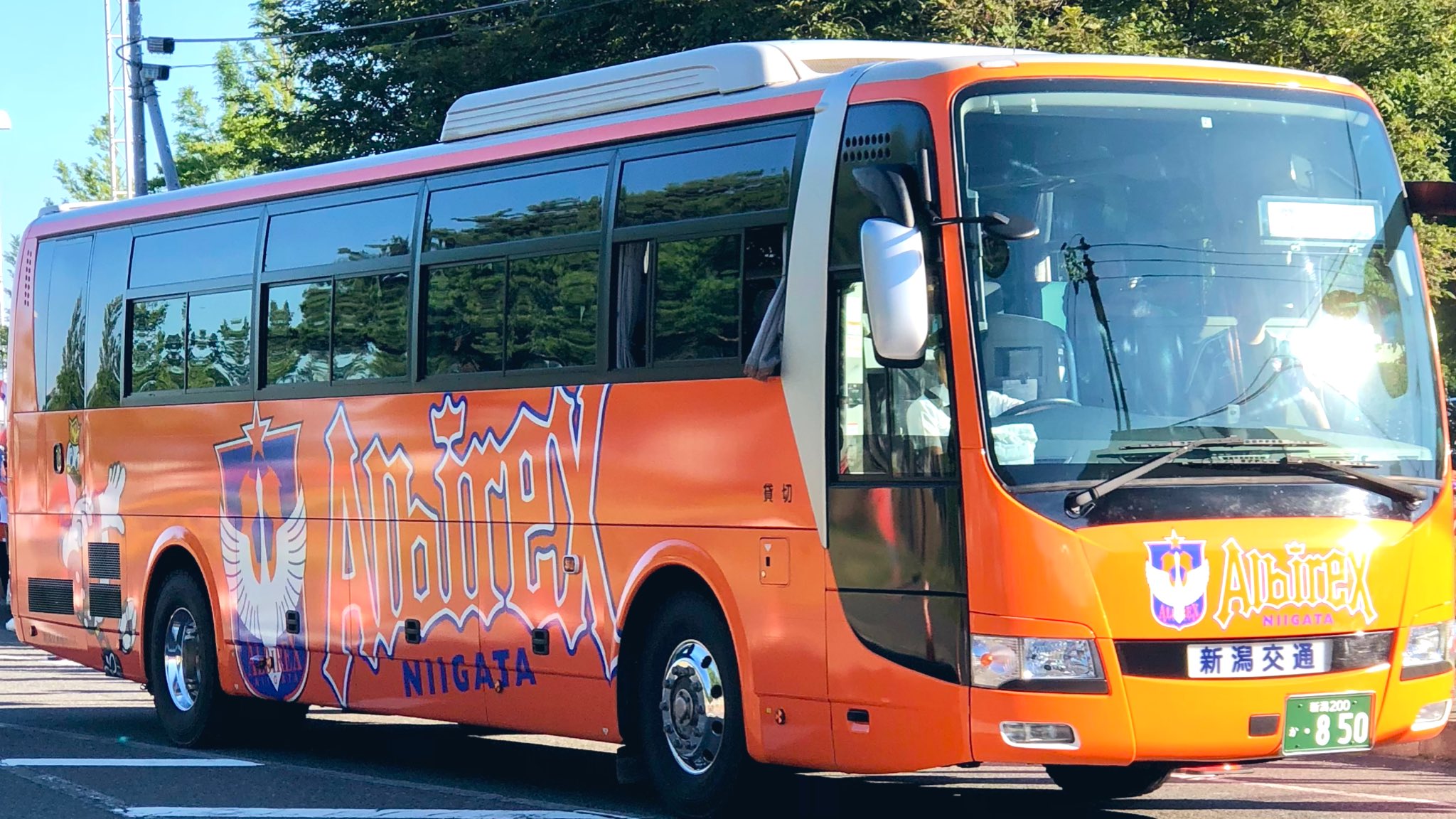 新品同様【定価3.3万】45R アルルリブの908バスクセイルプル 現行 1 新品同様【定価3.3万】45R アルルリブの908バスクセイルプル 現行 1