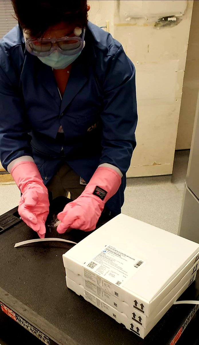 <a href="/UhnPharmacy/">UHN Pharmacy Department</a> RPhT Kelly received special training in order to safely handle the very first delivery of the frozen COVID-19 vaccine <a href="/UHN/">University Health Network</a> today.