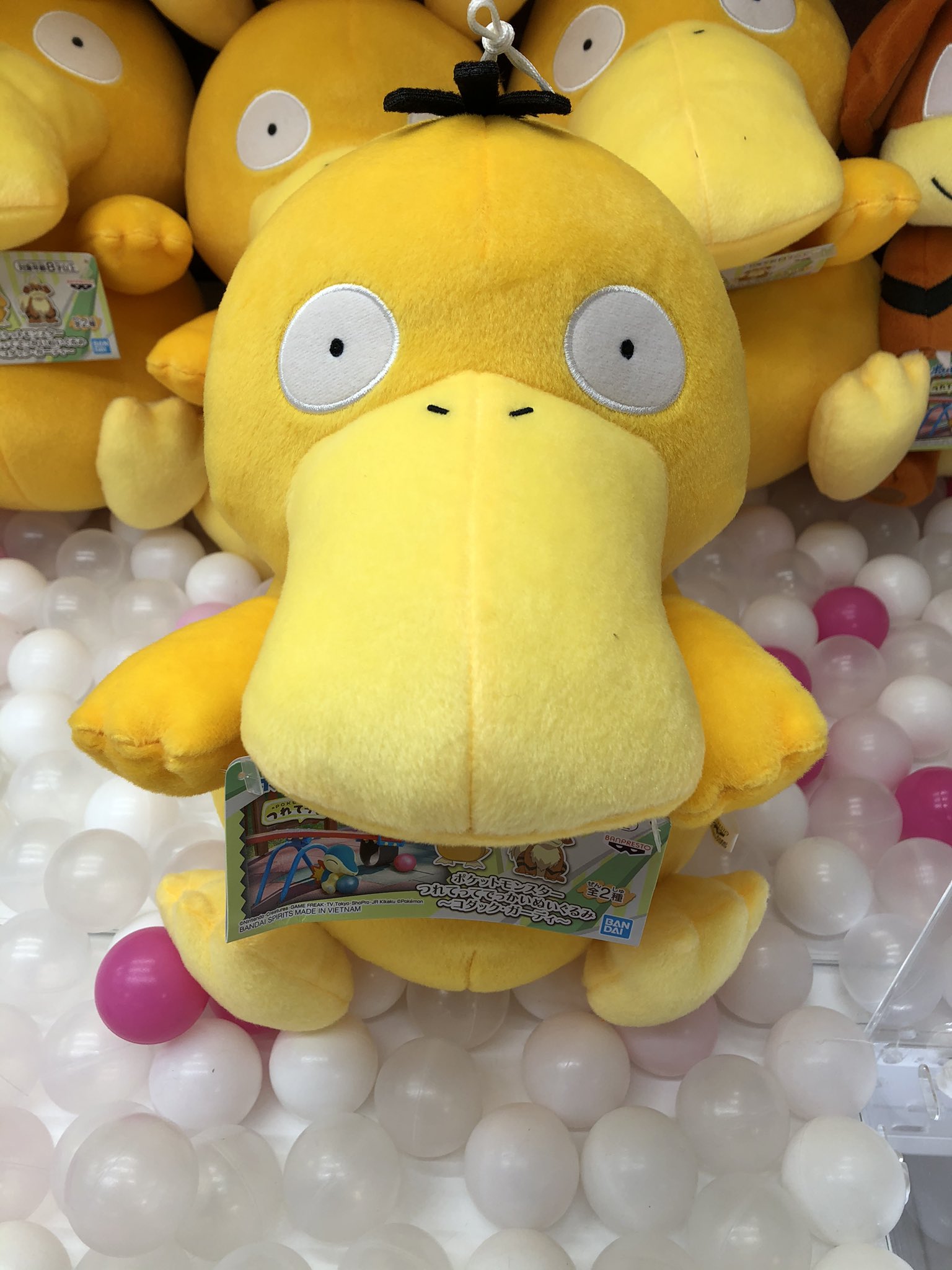 タイトーステーション 海老名ビナウォーク プライズ 新景品登場 ポケットモンスターからコダックとガーディのつれてって でっかいぬいぐるみが登場 つれてってシリーズから人気のコダックとガーディが登場しております ポケットモンスター