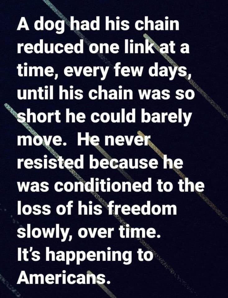 MiamiElizabeth's tweet photo. Can you relate to what is going on today? Infringement of rights, tyrannical legislators, one needs to stand up to this nonsense.
@LLinWood https://t.co/4vRSFzpmPr