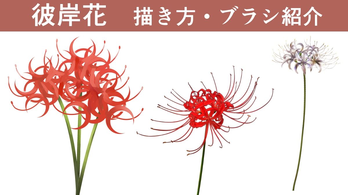 توییتر お絵かき図鑑 در توییتر イラストで彼岸花を描きたいけれど 花びらの形が複雑で難しそう そんな方にサポタさん Sapota Clone による彼岸花を簡単に描く手順や クリスタで使える彼岸花のカスタムブラシを見ていきましょう T Co Uowztbdzxu