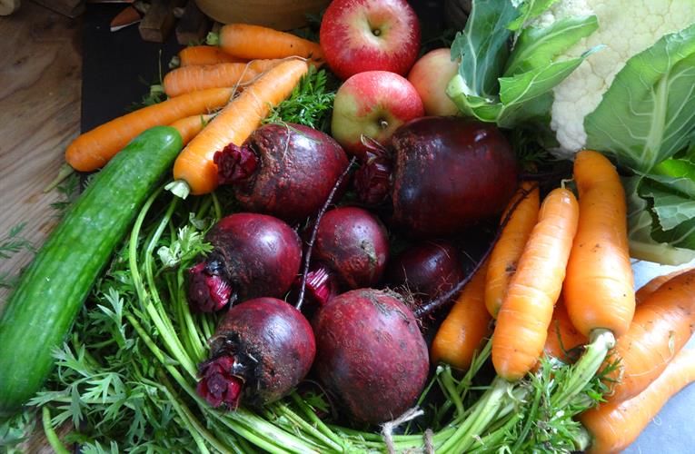 Organic Food Market Worth $272.18 billion by 2027, Growing at a CAGR of 12.2% From 2020 With COVID-19 Impact - READ MORE:
ow.ly/KigI50CKjjL