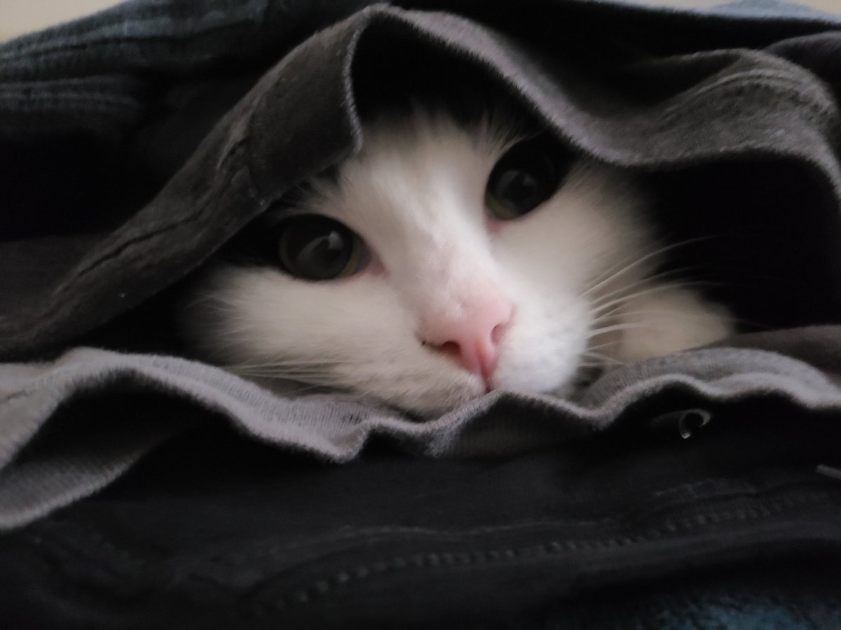 Letho helping with the laundry

CohhBoop

<a href="/CohhCarnage/">Cohh Carnage</a>