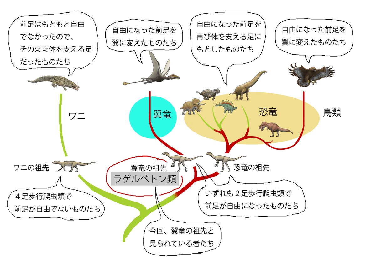 川崎悟司 on X: 