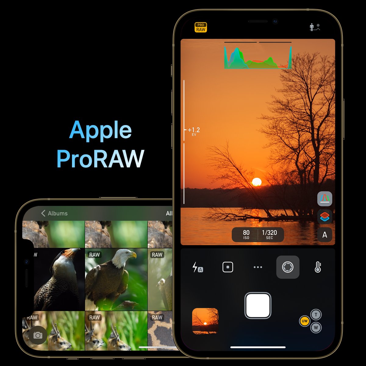 CameraMApp's tweet photo. Camera M 4.1 ProRAW Update
Now capture ProRAW with additional dynamic range. Also, capture Bracket shots with ProRAW while capturing ProRAW + HEIF.
https://t.co/qwWyrF0v9T
#CameraMiOS #iPhone12 #iphone12pro #iPhone12ProMax #iPhone11 #AppleProRaw #ProRaw https://t.co/Ql2iACFqz9