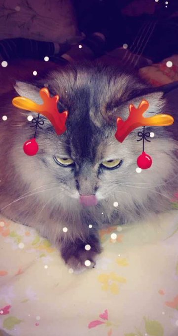 awesome_peach