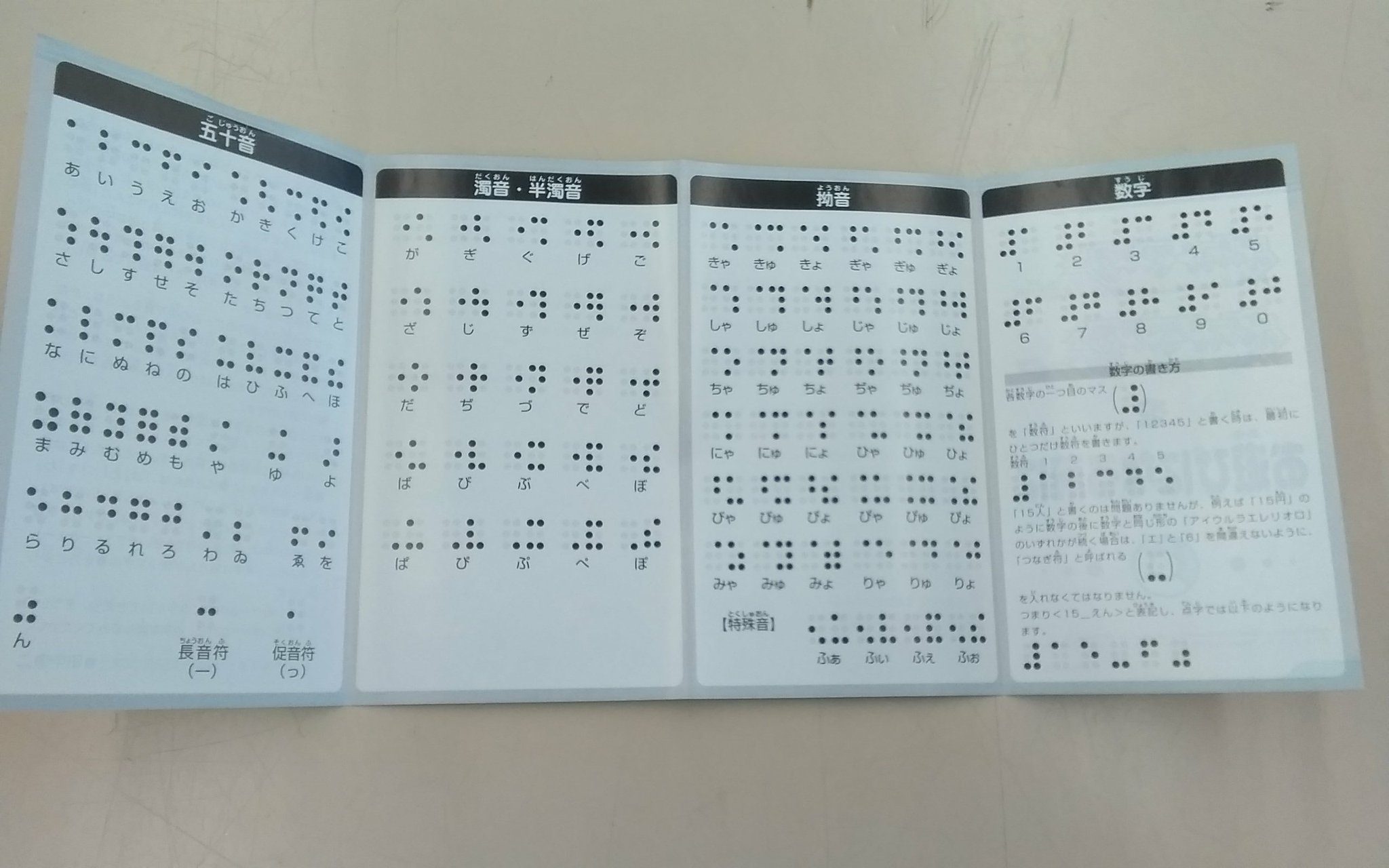 ハードオフ三芳町店 公式 点字表付き ポケットモンスター サファイア入荷しました ڡ 実はちょっと珍しいのです ๑ ㅂ و