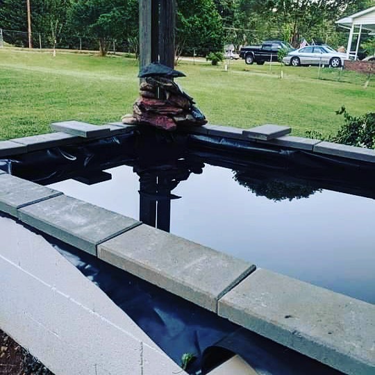 FKACommunity's tweet photo. So say you got this... whatcha stocking in it. Btw full build under $250!

#Monsterfish #monsterfishkeepers #monsterfishkeeper #monsterfishlovers #monsterfishtank #monsterfishkeeping #mfk #tankbuster #arapaima #pleco  #plecostomus #plecos #plecosofinstag… https://t.co/Cas2CumFWv https://t.co/sBr0Fs2uX5