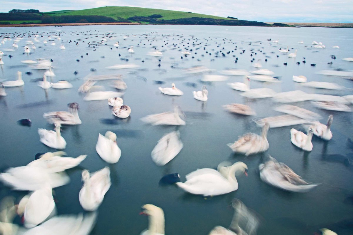 wanderlustmag's tweet photo. Why we'd highly recommend a winter break in Dorset > https://t.co/15wOYYvTgh
When the time is right, if you wrap up warm and embrace the chill, you’ll find that even in winter Dorset’s wild beaches and coastal paths have a certain charm...
#BritishBreak #staycation #travelsafe https://t.co/w9vy7kTWnV