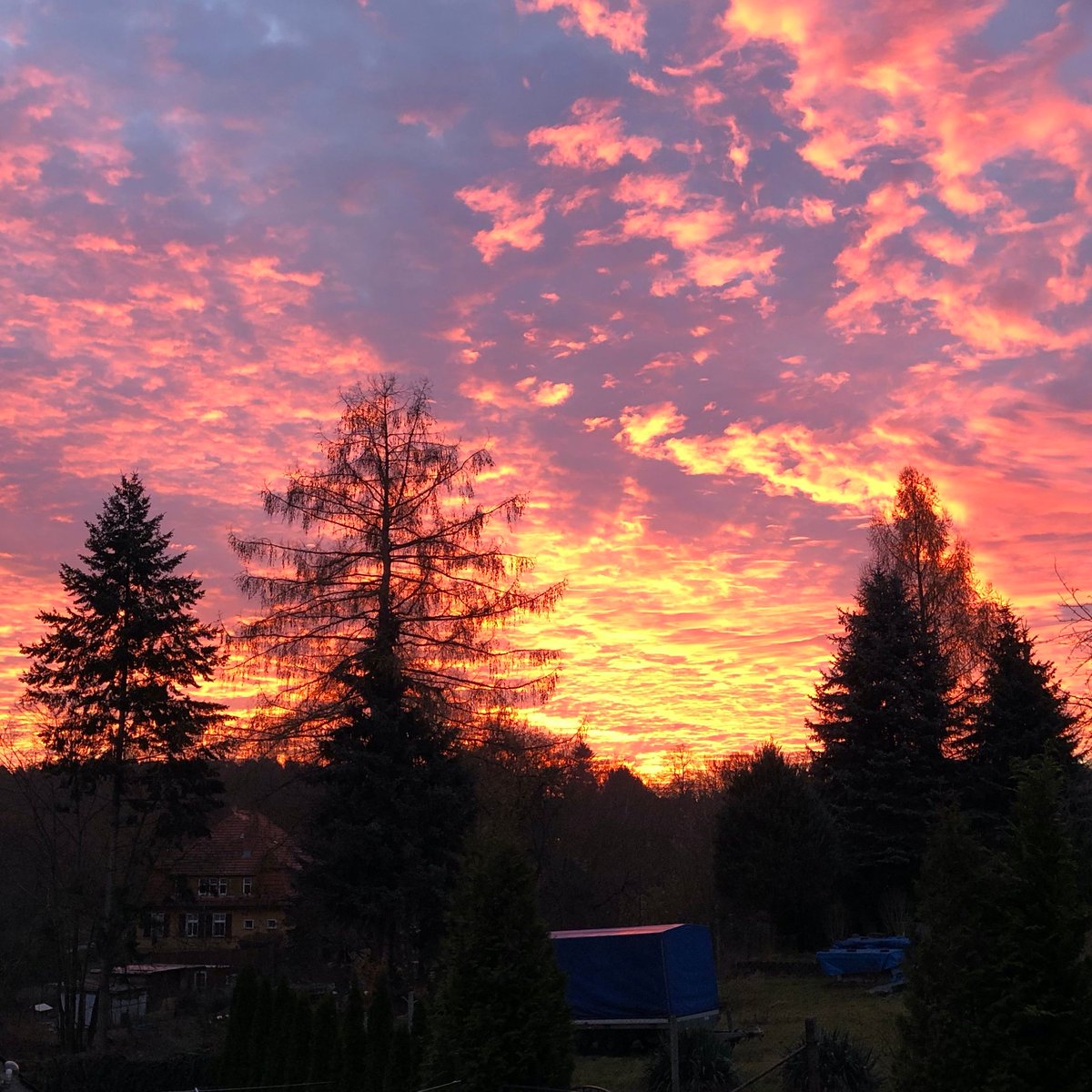 stadt_teupitz's tweet photo. Wir wünschen euch einen farbenfrohen guten Morgen! ☀️ 

#stadtteupitz #teupitzamsee #teupitz #sonnenaufgang #gutenmorgen #morgen #moin #landbrandenburg #visitbrandenburg #eskannsoeinfachsein https://t.co/G52C3jbGyW