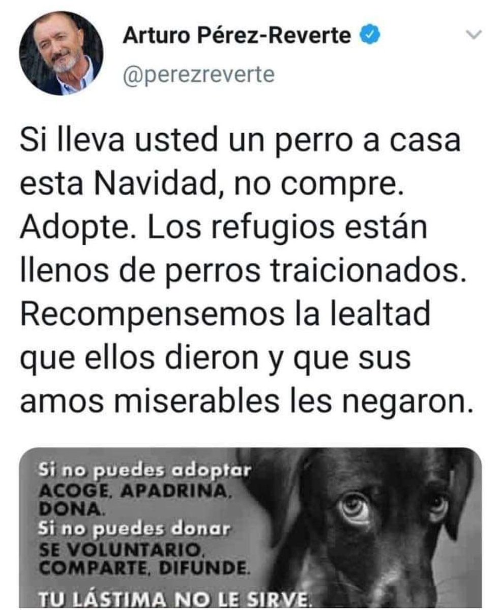 Arturo Pérez-Reverte tweet media