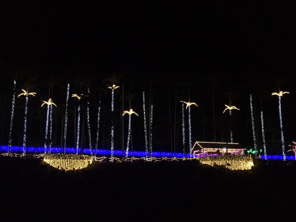 東南植物楽園 ひかりの散歩道はっじまっるよー 東南植物楽園 沖縄 イルミネーション