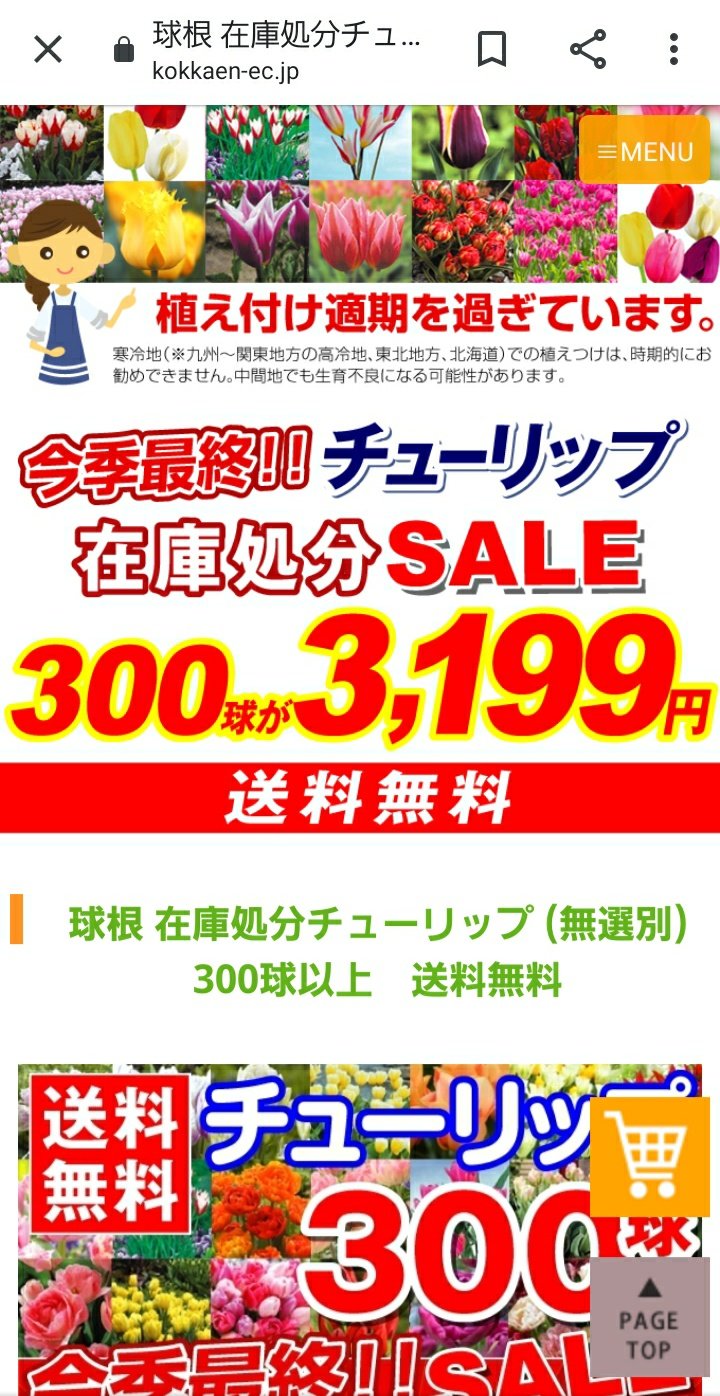 ルンバ チューリップ球根を今年分植えるのを忘れていて 急いで注文しようとしたら 国華園さんが球根の在庫処分セールをしていてめっちゃ安かった 時期は逃してるけどギリギリいけるでしょ ルンバ チューリップ球根を今年分植えるのを忘れていて 急いで注文しようとしたら 国華園さんが球根の在庫処分セールをしていてめっちゃ安かった 時期は逃してるけどギリギリいけるでしょ