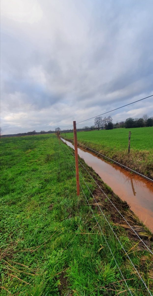 fencing_wolf's tweet image. Gisteren in samenwerking met @GallagherEurope in @GemeenteEpe een #wolfwerend raster geplaatst. 
Een fijne samenwerking met veel kennisoverdracht van beide kanten. 💪🐺🐑 @BIJ12nl @provgelderland #wolvencommissie