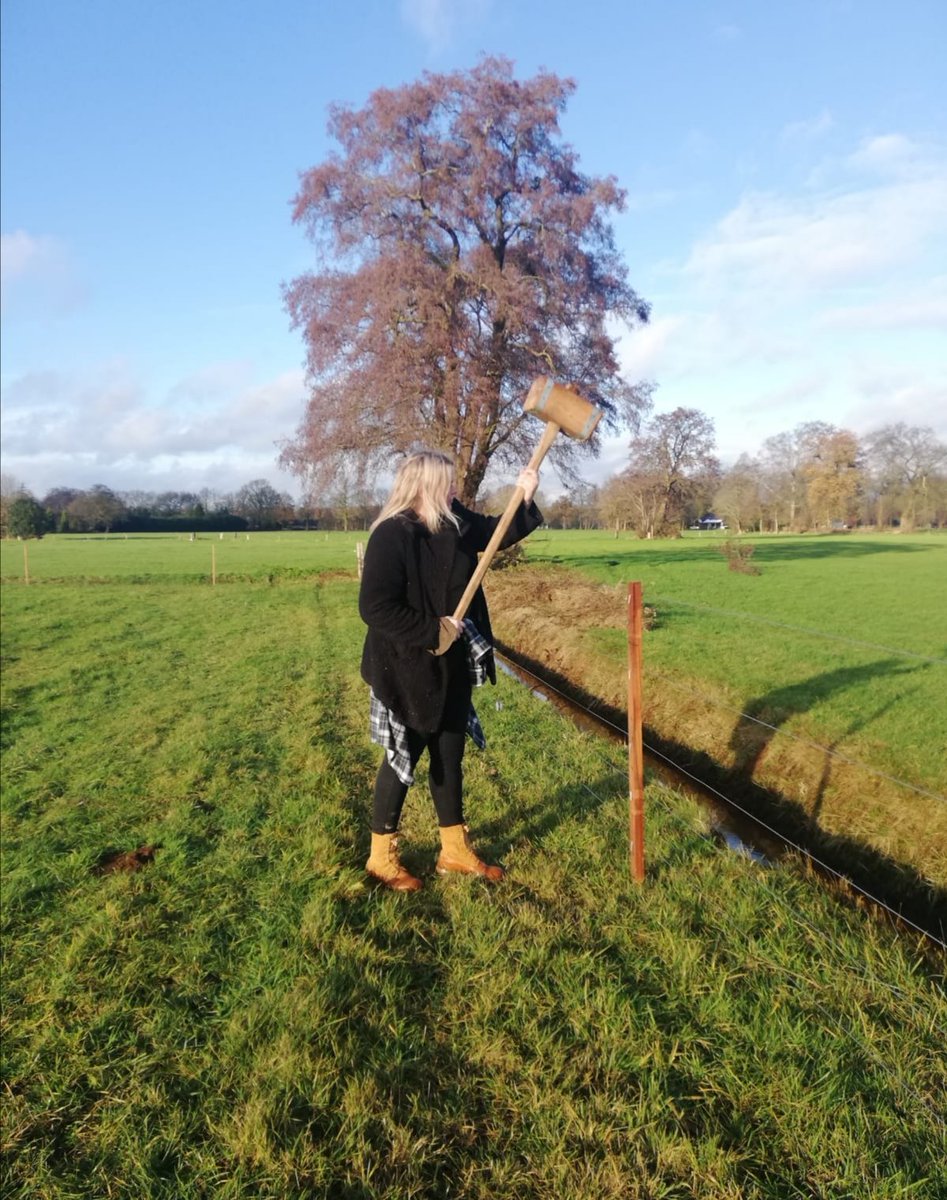 fencing_wolf's tweet image. Gisteren in samenwerking met @GallagherEurope in @GemeenteEpe een #wolfwerend raster geplaatst. 
Een fijne samenwerking met veel kennisoverdracht van beide kanten. 💪🐺🐑 @BIJ12nl @provgelderland #wolvencommissie