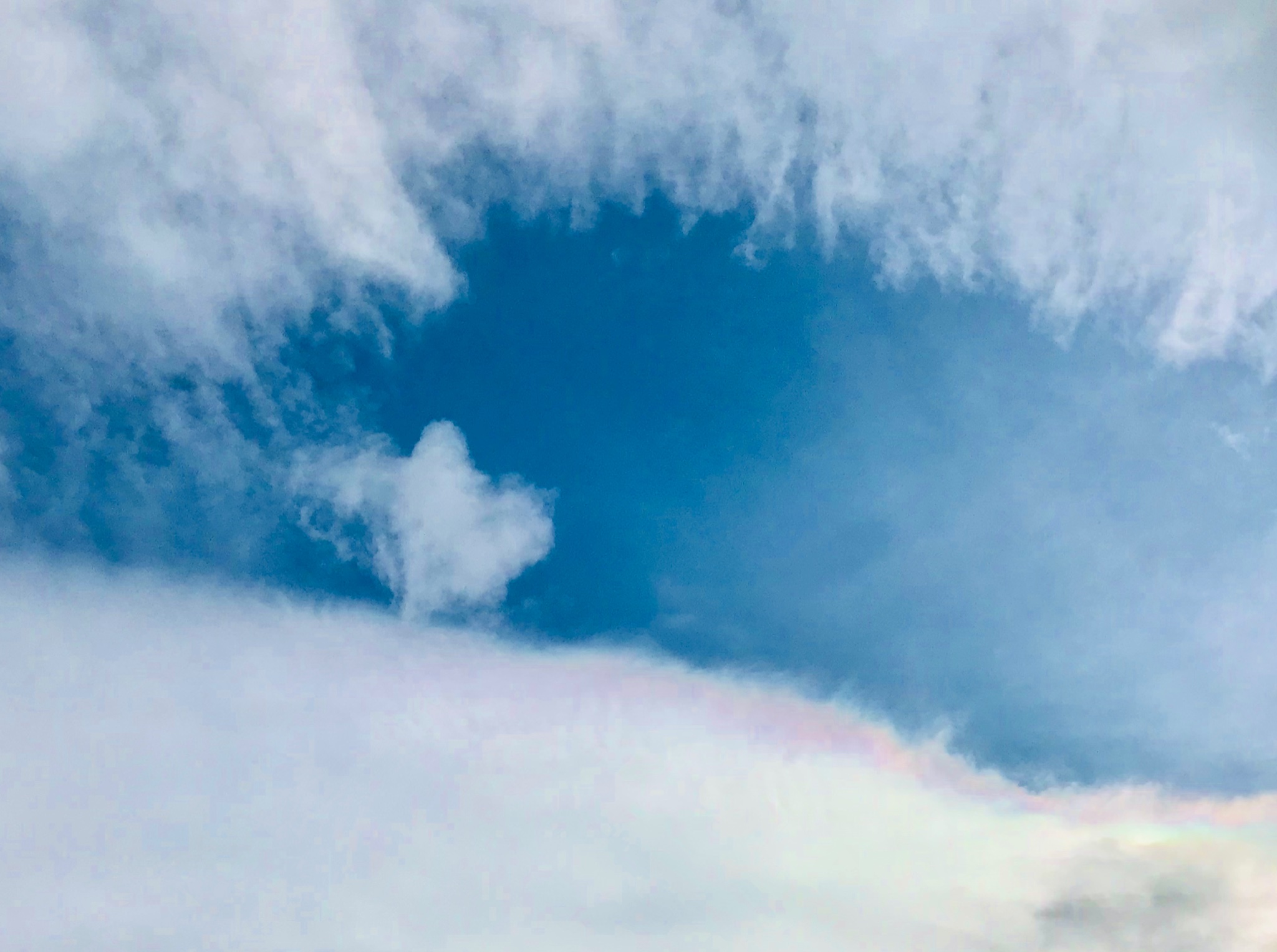 Yomi ハートがビヨン ハートみたい ハート雲 空 Sky Heart Clouds 素敵な夢を T Co Fnuqkx3sfw Twitter