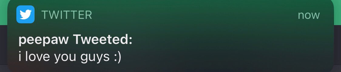 6. imagine getting tweet notifications from dream, but his name is peepaw. it’s absolutely hilarious. Refer to exhibit B.