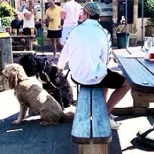 louis with bruce and clifford: a thread