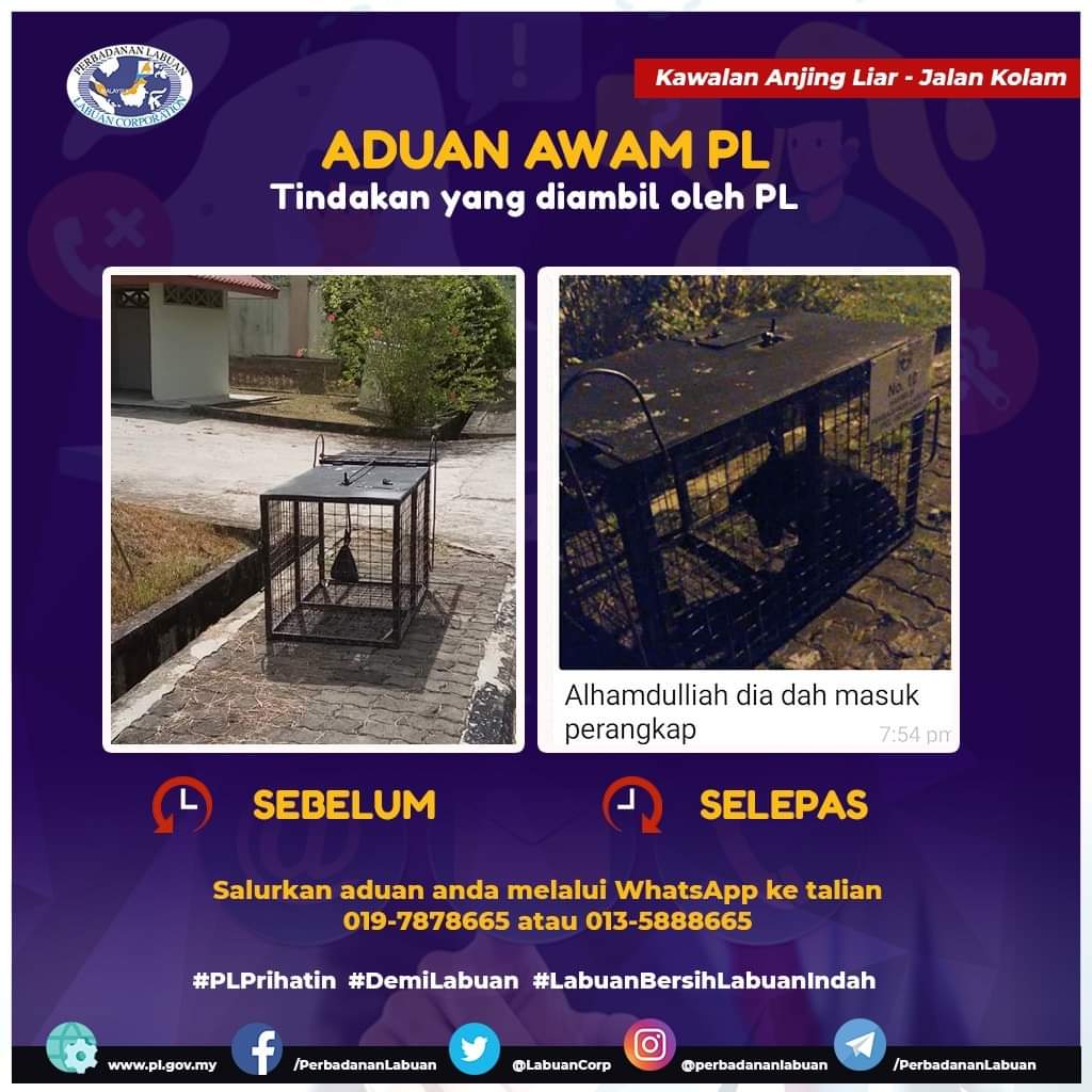 LabuanCorp's tweet photo. ADUAN AWAM PL - Tindakan yang diambil oleh PL
Salurkan aduan anda melalui Whatsapp ke talian 019-7878665 @ 013- 5888665
#plprihatin
#demilabuan
#labuanbersihlabuanindah https://t.co/xeQehRGU2v