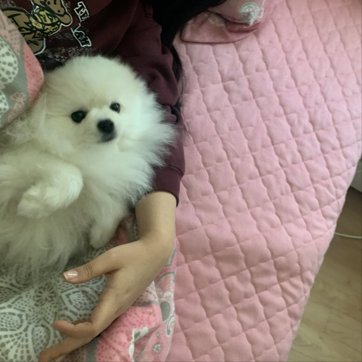 _onnuri's tweet photo. 이뻐주께썽 https://t.co/v3z8F4oKHh