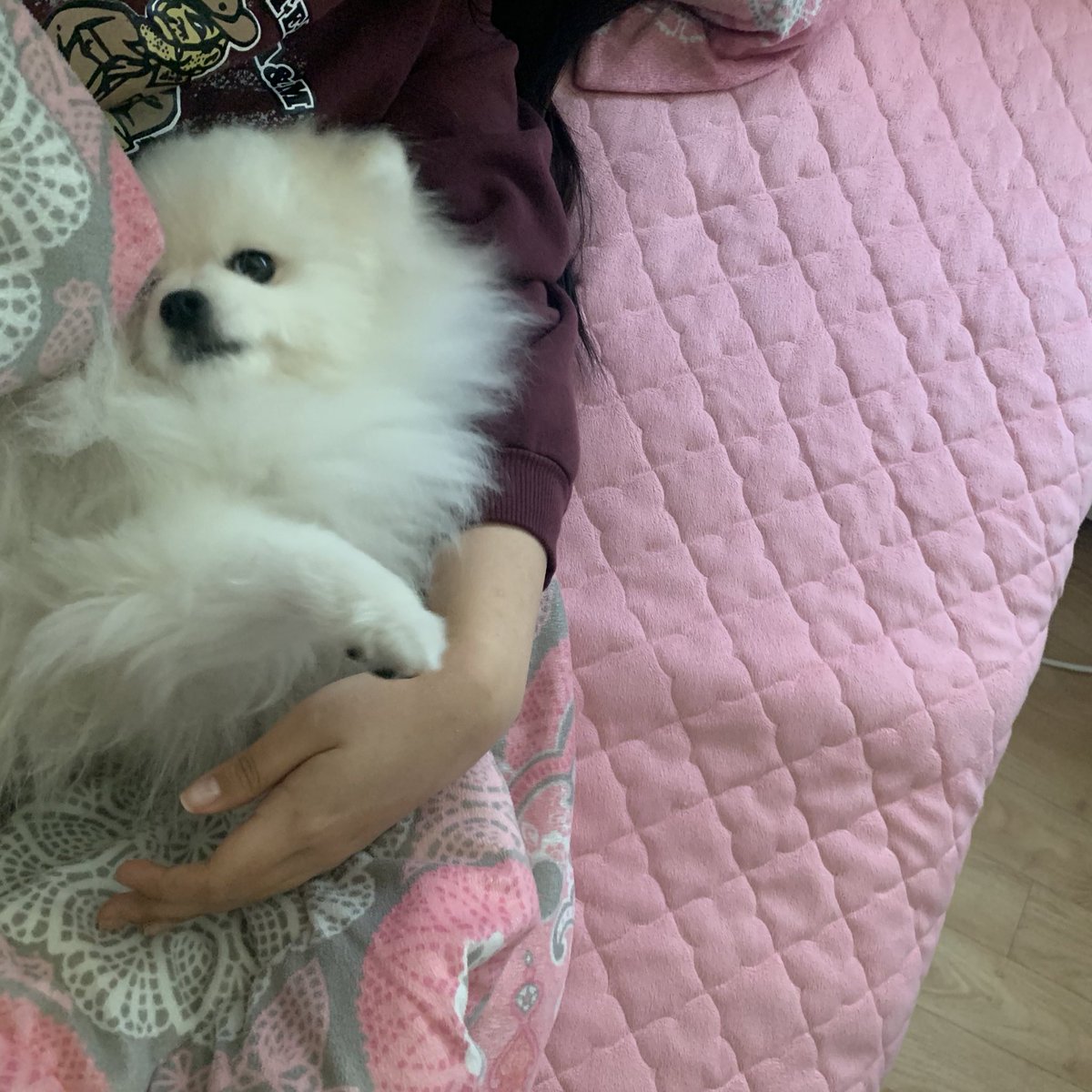 _onnuri's tweet photo. 이뻐주께썽 https://t.co/v3z8F4oKHh