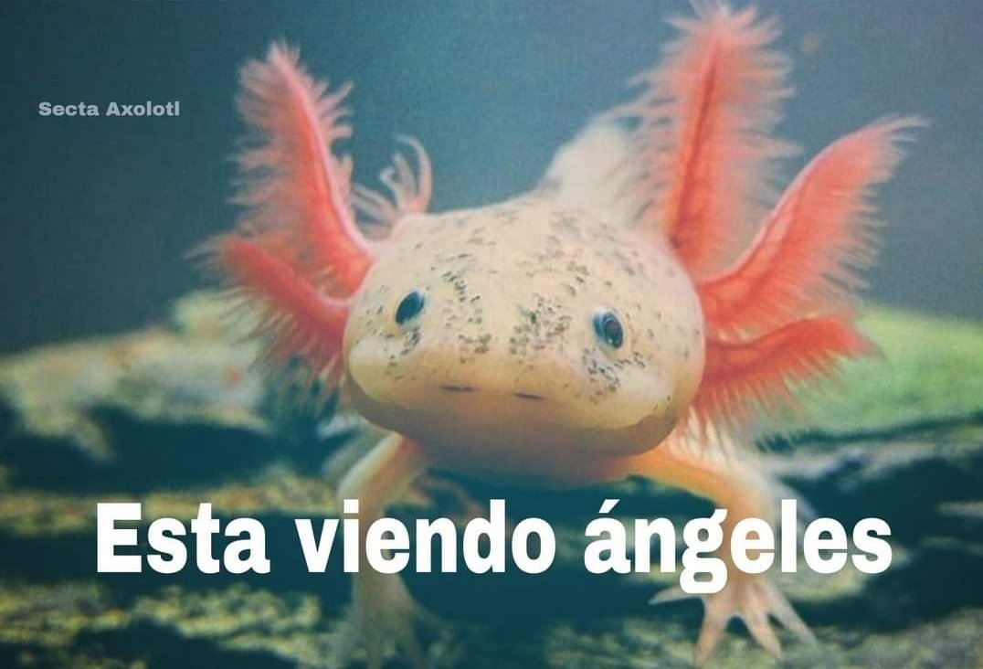 El día de hoy nos llevamos una contundente victoria.
🆚 <a href="/LegionUEsports/">Legión Utopía Esports</a> 
🏆 <a href="/UtopiaCUP/">Utopia CUP</a> 
🎯 2-0 (ups)
MVP: Luci