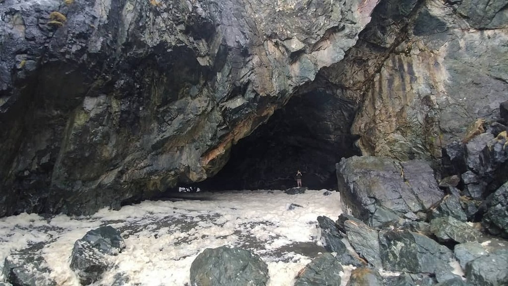mr_wilson3's tweet photo. Easily the biggest sea cave I've come across. Another beauty west coast spot.
.
.
.
#explorevanisle #explorebc #explorecanada #westcoastbestcoast #britishcolumbia #vancouverisland #canada #vanisle #beautifulbc #hellobc #ilovebc #sharecangeo #sharevi #brm… https://t.co/iFaZbki38H https://t.co/19IvwBsIZp