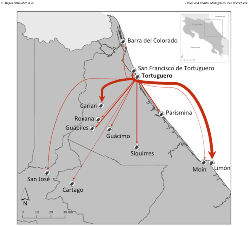 hectortuguero's tweet photo. There are many important results, but I would like to highlight this one (fig 5).

Illustrative map showing reported destinations for #SeaTurtle eggs poached in #Tortuguero. Figure was elaborated with information from #PersonalInterviews
with #Key_Informants #CostaRica https://t.co/4Joqn4elJE