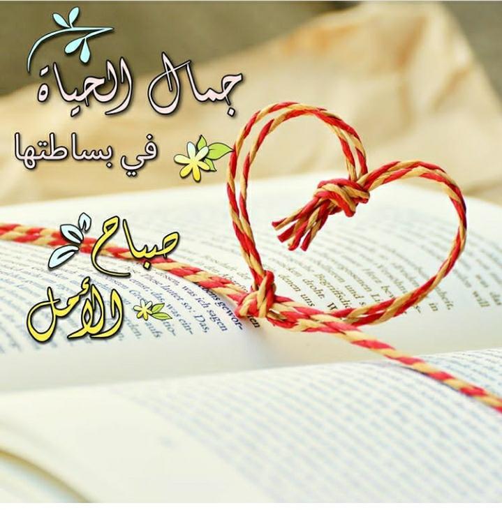 KsaKiwi's tweet photo. مـع هذا لصباح ، ربّـي أبعـد عنّـاا مـا يضـرنا، فأنـت خيـر من يُستـودع بـه وأنت خيـر الحافظـين. https://t.co/PPD6Ipne1x