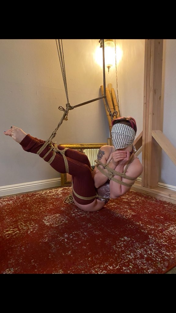 Lief Bound tweet media