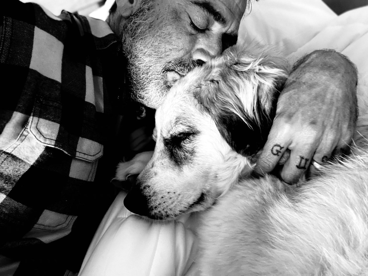 best of jeffrey dean morgan (@jdmsarchive) on Twitter photo 