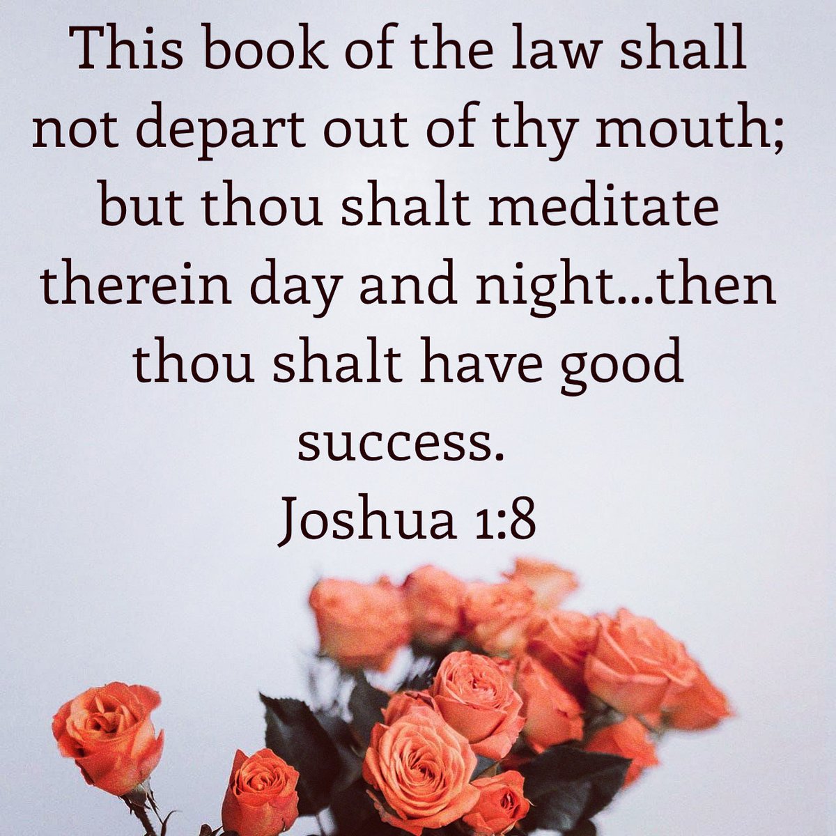 WomanPreachNet's tweet photo. There is only one success strategy that produces eternal rewards - meditation upon, and carrying out God's word. As you close out 2020 and prepare for 2021, make the word of God the foundation that you build upon, the focal point of your vision, and the heart of all your desires. https://t.co/PdNC1kb1AY