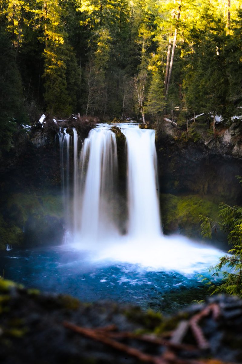foxandpines's tweet photo. Above and below. #Oregon #Waterfalls https://t.co/dVrbh2PGm8