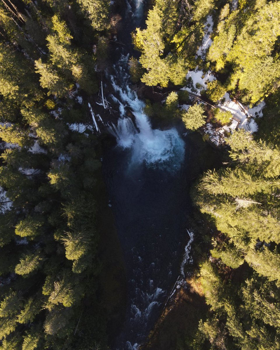 foxandpines's tweet photo. Above and below. #Oregon #Waterfalls https://t.co/dVrbh2PGm8