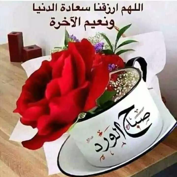 KsaKiwi's tweet photo. صباح الخير للذين يمرون على القلب كنسيم الصباح،
 صباح الخير للذين يصونون العشرة ولاينسون أن بيننا أياما لا تنسى وذكريات لا تحصى،
 صباح الورد لمن يبعثون الأمل والسعادة فى قلوبنا،
صباح السعاده لكم صديقاتي. https://t.co/ioWsQCn4Ng