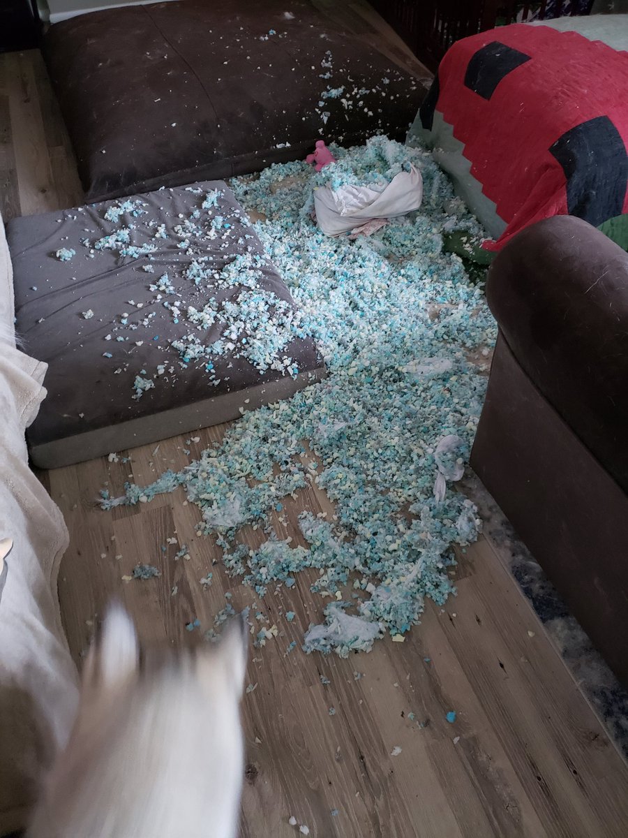 Mike Stephens tweet media