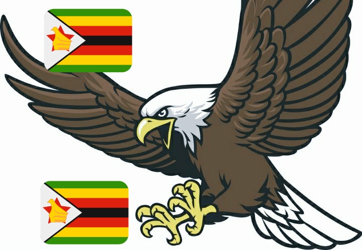 bosswala's tweet image. 🇿🇼👉Goooood morning Zimboz

🇿🇼👉Bata chero pawabata unzwe kunaka kwechino
👉#WaleDrive, the EAGLE has landed!!