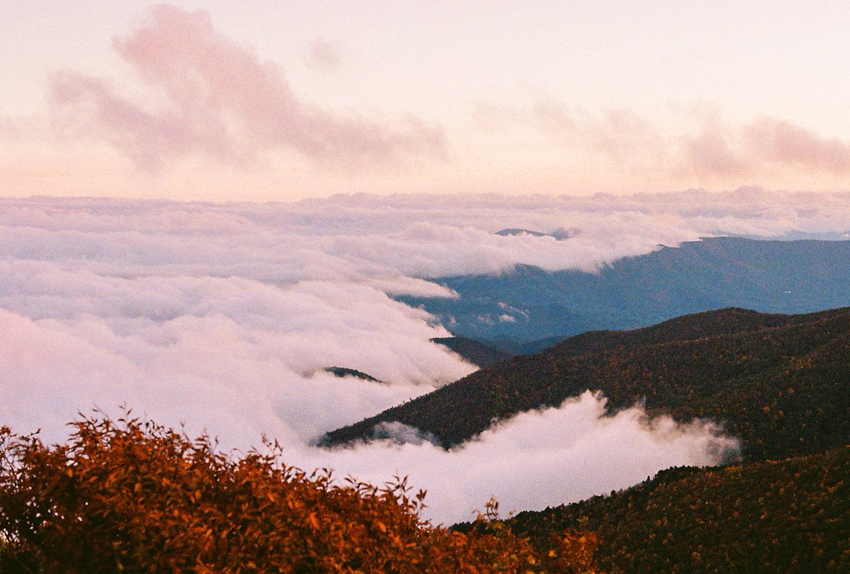 i also shoot portraits, film, & love