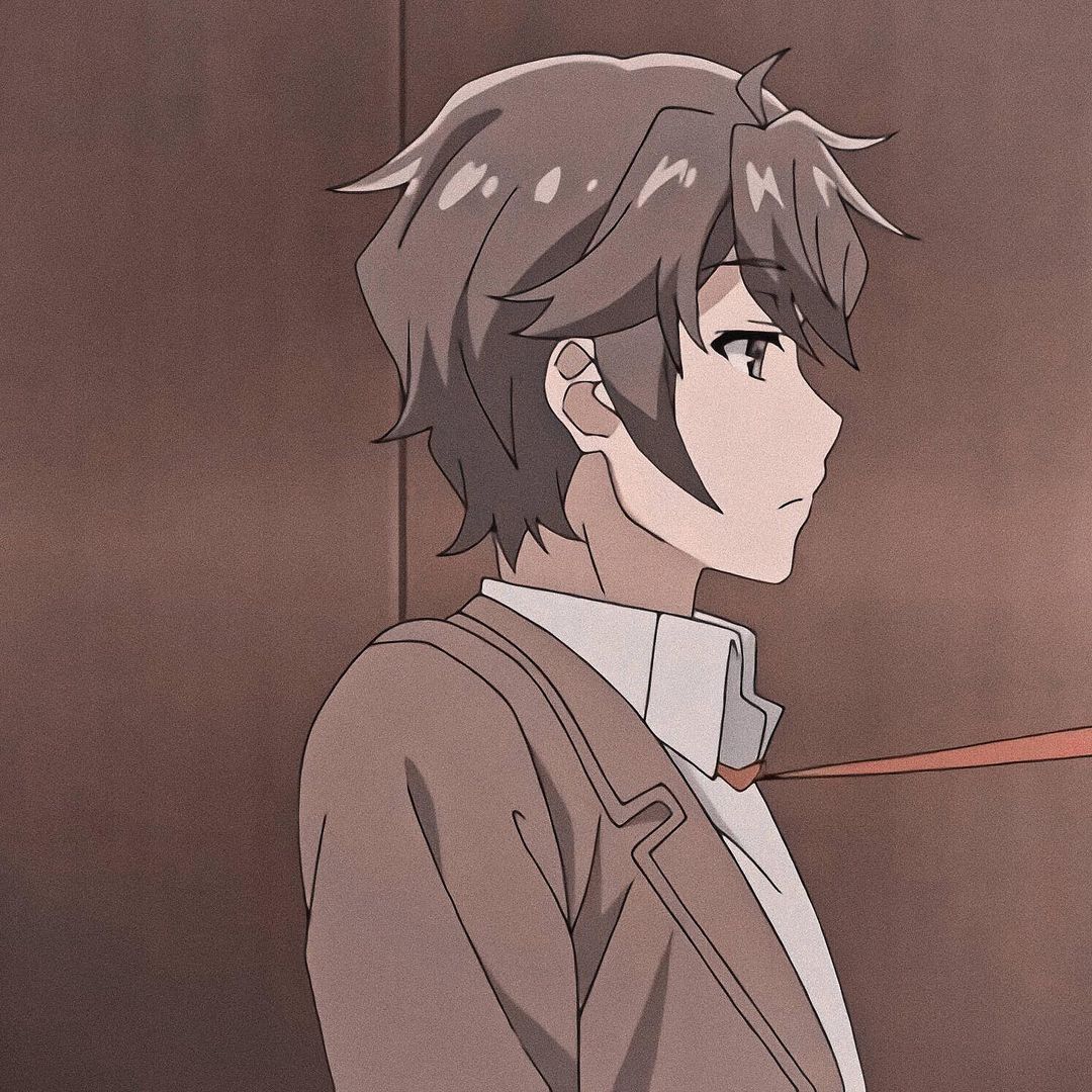 Matching Icons Couple Anime Rascal Does Not Dream Of Bunny Girl Senpai Chara Maisa Kurajima Sakuta Azusagawa T Co S0htrupyyf Twitter
