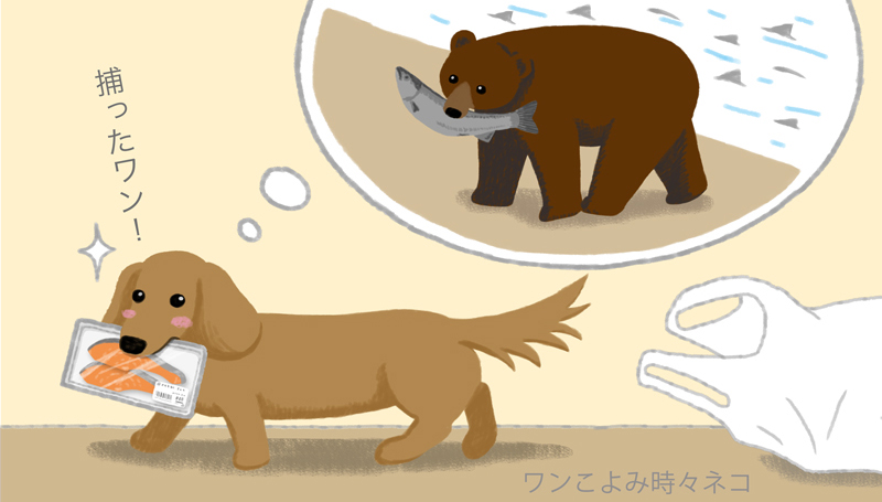 ワンこよみ時々ネコ 年12月16日は 鱖魚群 さけのうお むらがる 鮭が群がって川をのぼる頃 熊さんをイメージして 鮭を取る 町のハンター犬 イラストはフィクションです 鱖魚群 鮭 ワンこよみ イラスト 暦 Dog 愛犬 T ワンこよみ時々ネコ 年12月16日は 鱖魚群 さけのうお むらがる 鮭が群がって川をのぼる頃 熊さんをイメージして 鮭を取る 町のハンター犬 イラストはフィクションです 鱖魚群 鮭 ワンこよみ イラスト 暦 Dog 愛犬 T