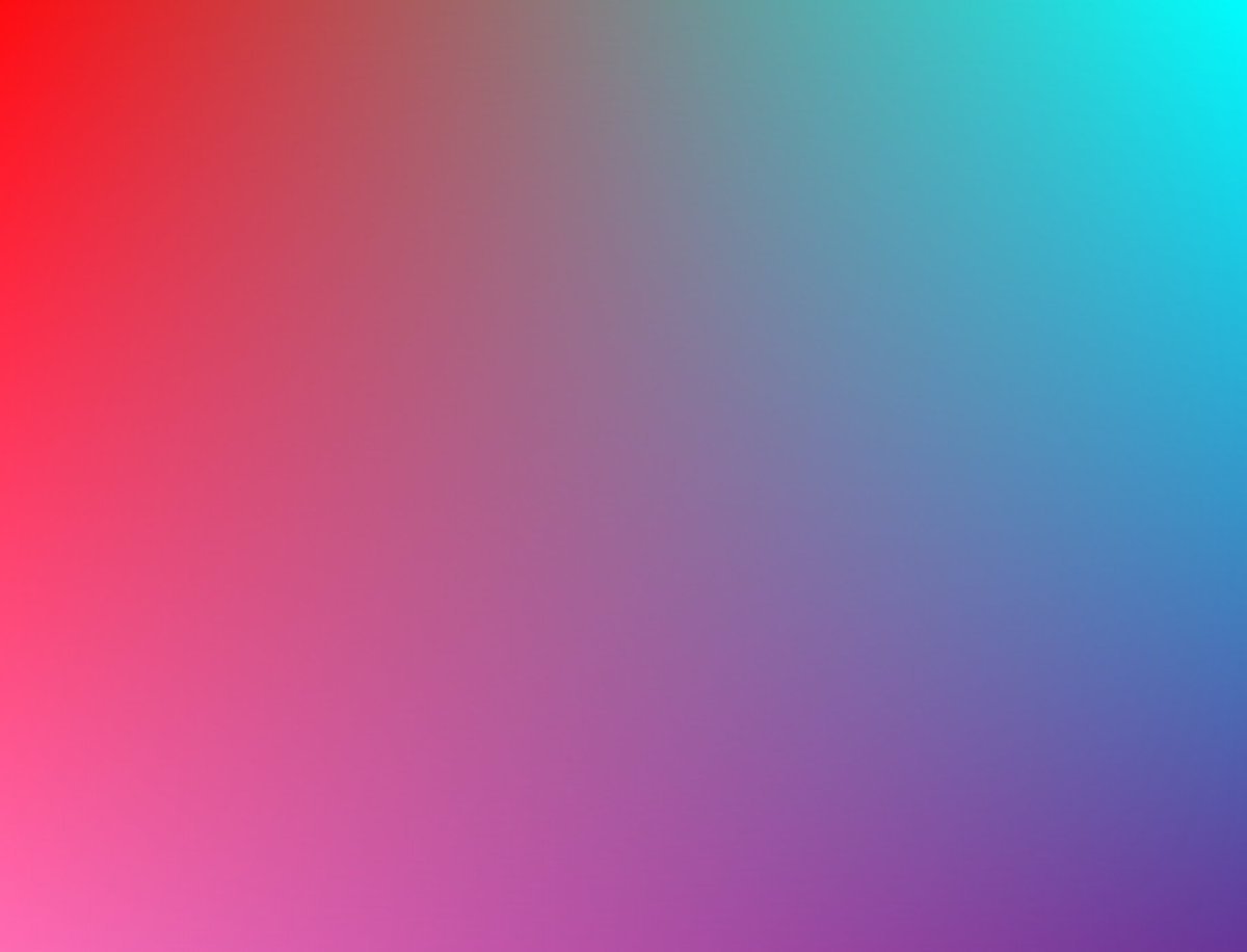 Frank ☼ Bach tweet media