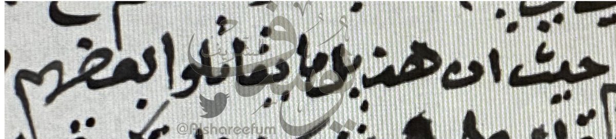 ورد في وثيقة في أواخر القرن ١٣ هـ عن عادة لدى قبيلة هذيل في الحرب وهي :
أنهم اذا التقوا في الحرب وهم منقسمين كأنصار بين الفريقين المتقاتلين، فلا يقاتل الهذلي هذلي مثله.