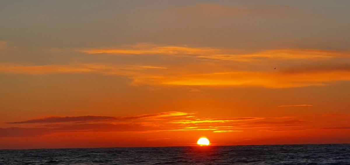 Andrew Douglas tweet media