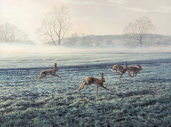 B_Strawbridge's tweet photo. "Cantering Hares", Frosty Morning - by British wildlife artist, Martin Ridley https://t.co/tdUlO7OObo