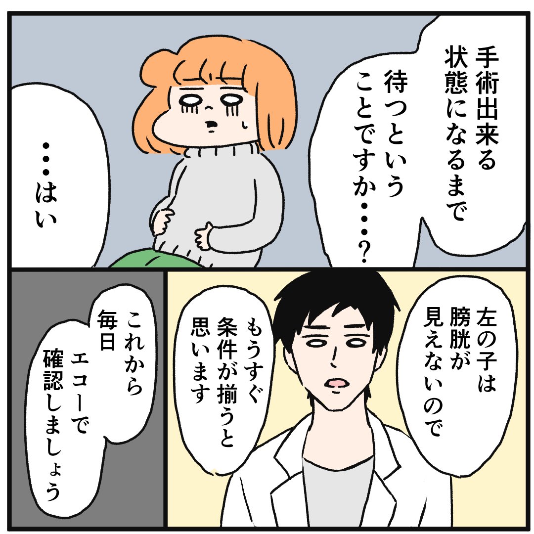 TTTS(双胎間輸血症候群)になった話(5) 