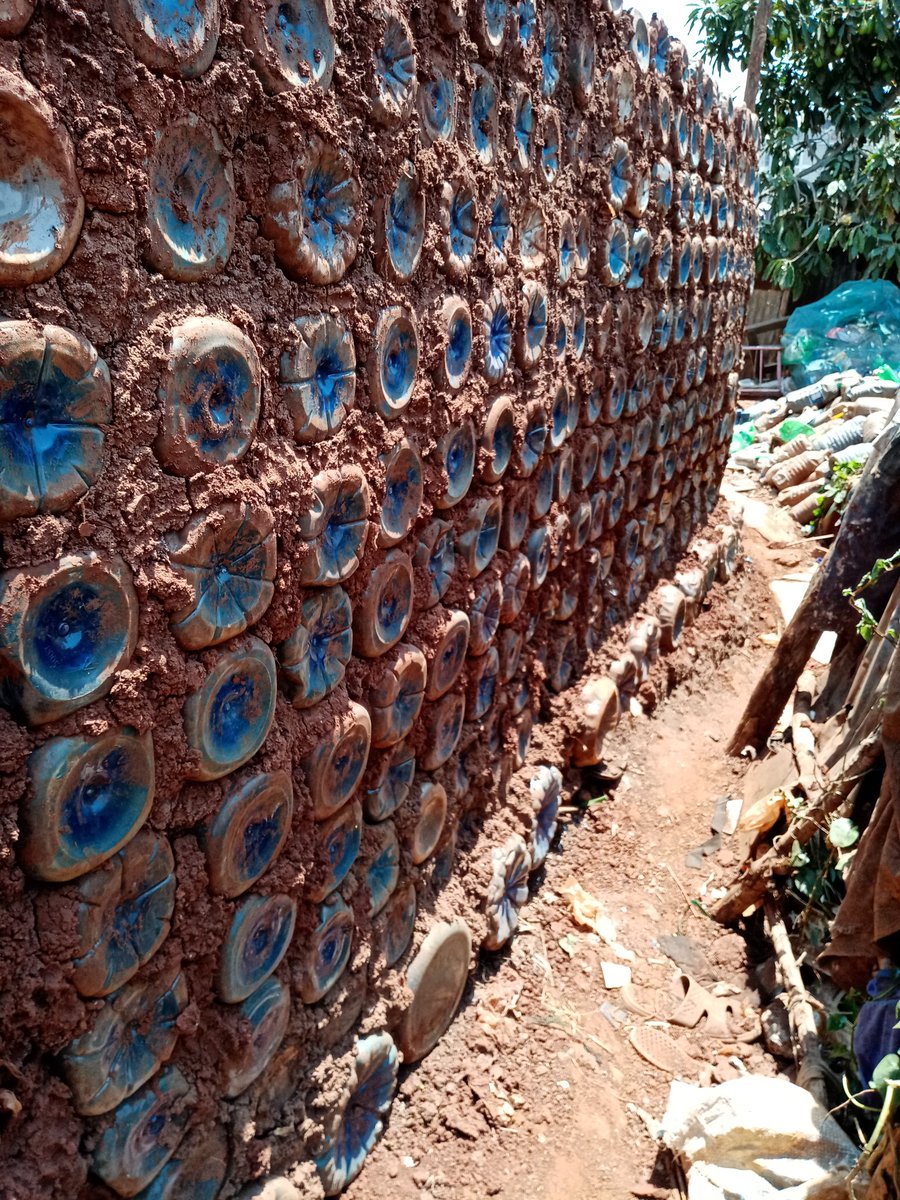 Mushroom farm